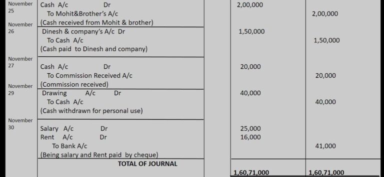 20 Transactions With Their Journal Entries Ledger And Trial Balance To Prepare Project Class 11 0364