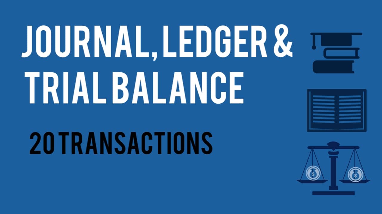 20 transactions with their Journal Entries, Ledger and Trial balance to prepare project